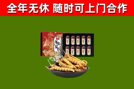 宿州市回收冬虫夏草价格