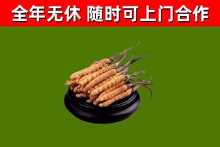 宿州市烟酒回收冬虫夏草.jpg